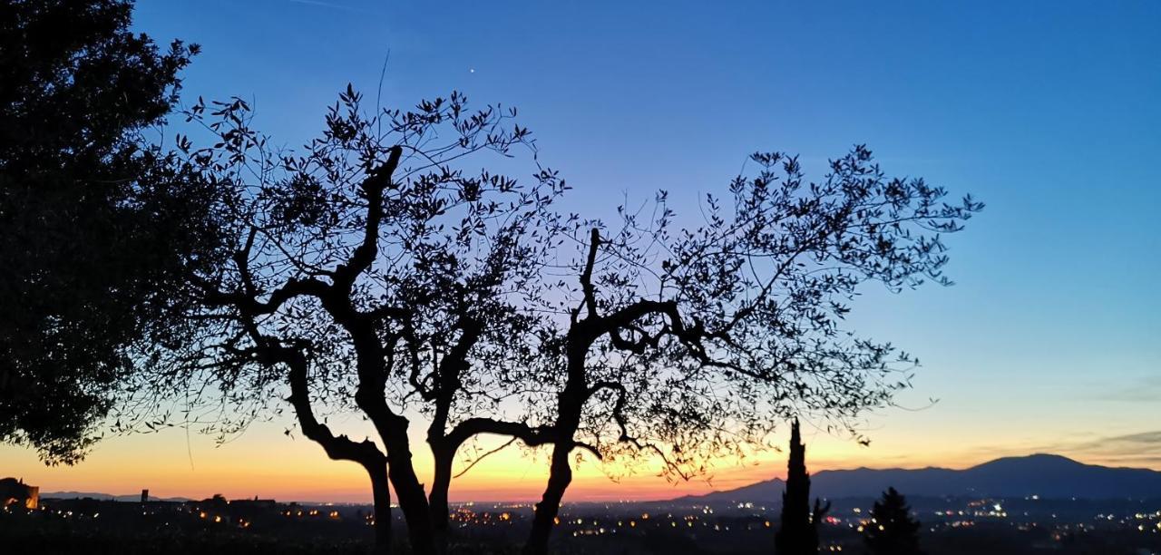 Agriturismo Cascina Cipressa San Romano  Dış mekan fotoğraf