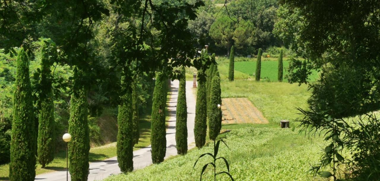 Agriturismo Cascina Cipressa San Romano  Dış mekan fotoğraf