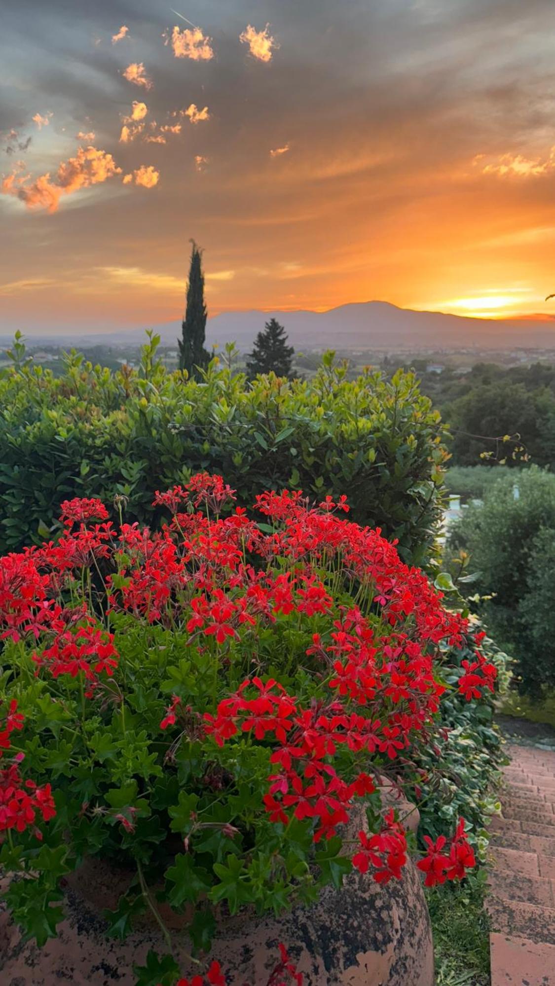 Agriturismo Cascina Cipressa San Romano  Dış mekan fotoğraf