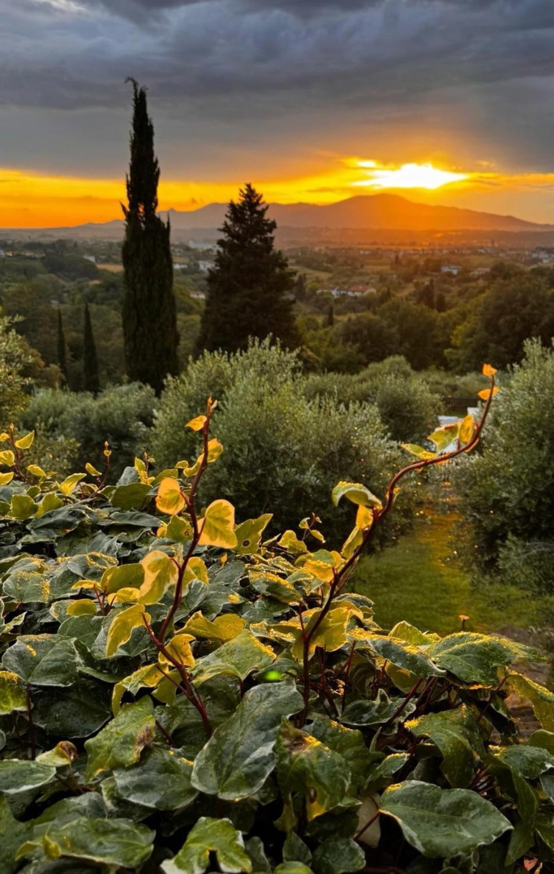 Agriturismo Cascina Cipressa San Romano  Dış mekan fotoğraf
